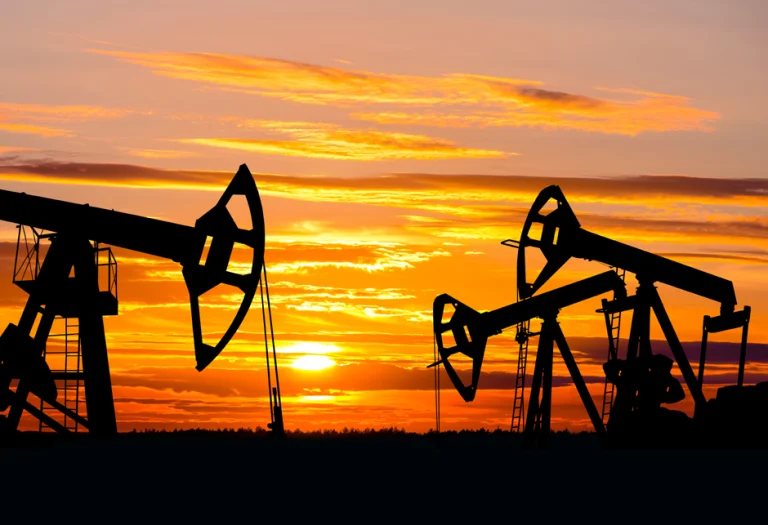 Sektor_Optimized (1)